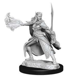 Nolzur's Marvelous Miniatures: Winter & Spring Eladrin - Image 1