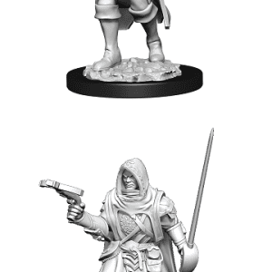 Pathfinder Deep Cuts Miniatures: Human Rogue Male (2020) - Image 1