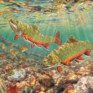 1000 pcs - Brook Trout - Image 1