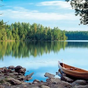 1000 pcs - Nature's Mirror - Image 1