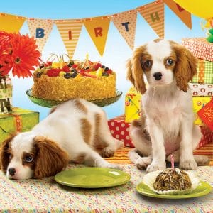 1000 pcs - Every Dog Has Its Day - Image 1