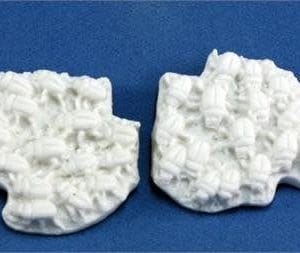 Dark Heaven Bones: Vermin Beetle Swarm (2) - Image 1