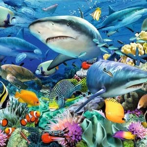 100 pcs - Shark Reef (XXL) - Image 2