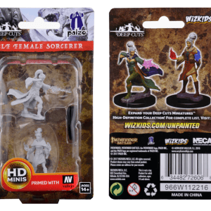 Pathfinder Deep Cuts Miniatures: Elf Sorcerer Female - Image 3