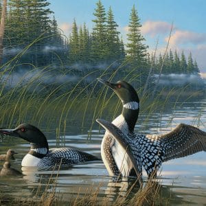 1000 pcs - Common Loons - Image 3