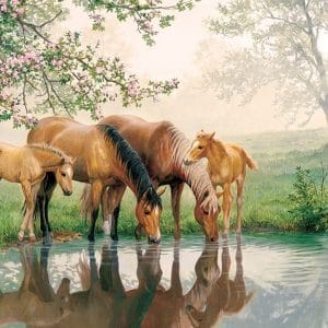 350 pcs - Horse Family (Family Puzzle) - Image 3